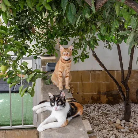 Close To Airport - Private With Private Bathroom Adults Only Gudja